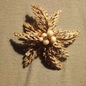 Gorgeous broach
